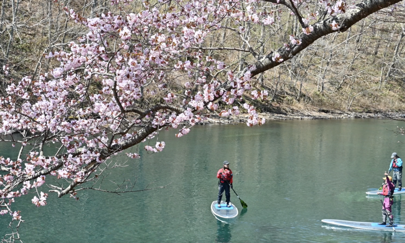 春　SUP 支笏湖 千歳川