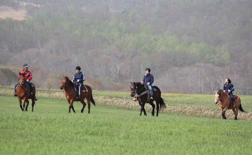 北海道で楽しめる乗馬外乗コース