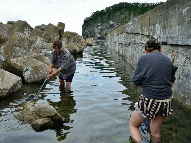 ★ Tours Exclusive [Shakotan / 7 Hours] Enjoy the Ocean at the Niseko-Shakotan-Otaru Coast Quasi-National Park! Ages 3–80 Welcome☆ Shore Exploration & Sea Fishing Experience 《Pickup and Drop-off from Sapporo City Included》 (No. 32)