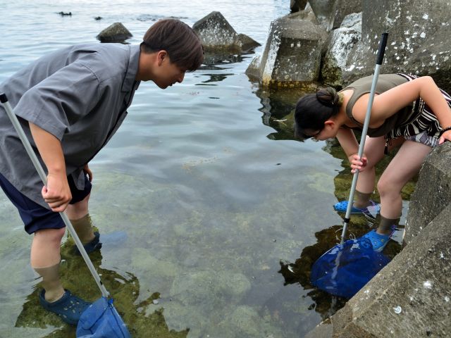 積丹　海遊び　釣り
