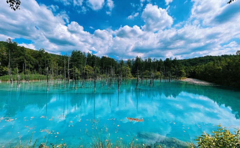 北海道の絶景！美瑛・青い池