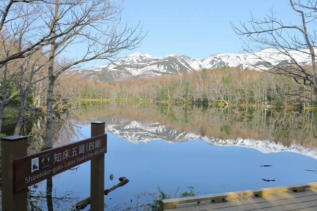 北海道知床五湖の自然景観