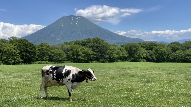 羊蹄山