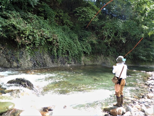北海道　渓流釣り　