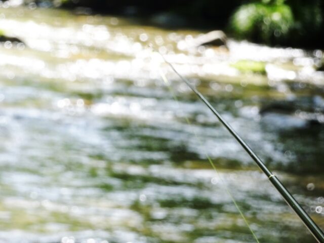 北海道　渓流釣り　釣竿