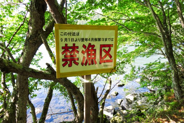 北海道　渓流釣り　禁漁区看板