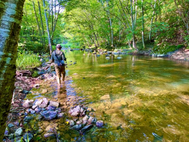 北海道　渓流釣り