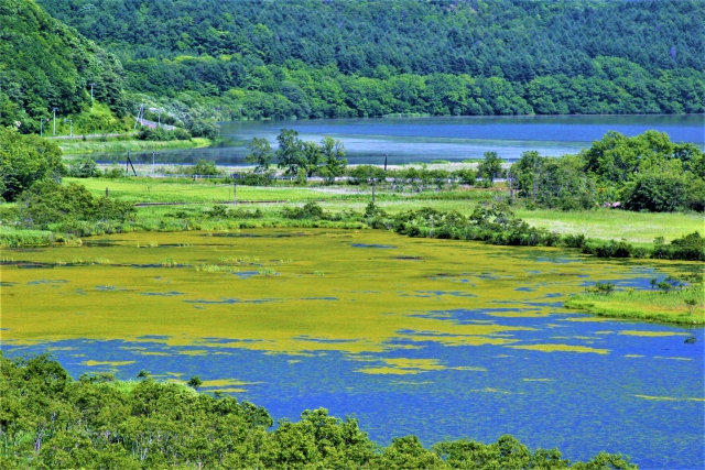 釧路湿原国立公園