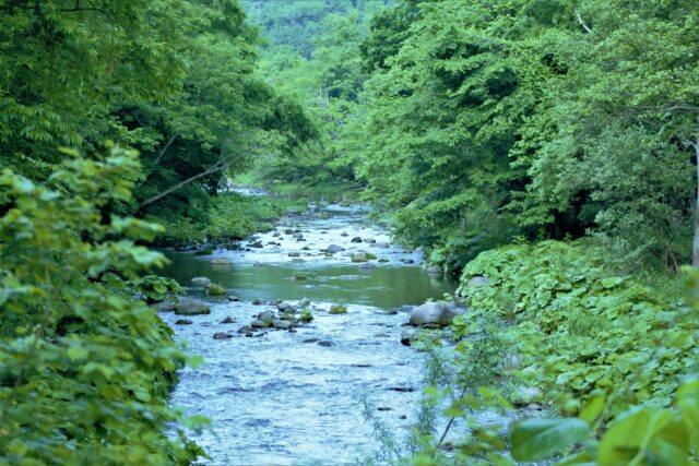 北海道　渓流