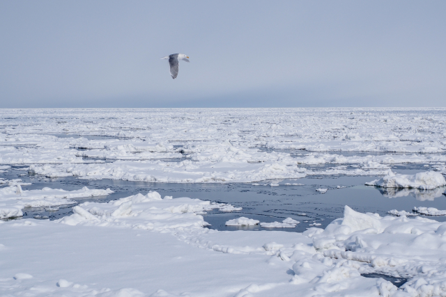流氷砕氷船おーろら