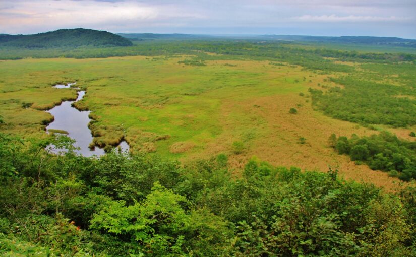 釧路湿原国立公園