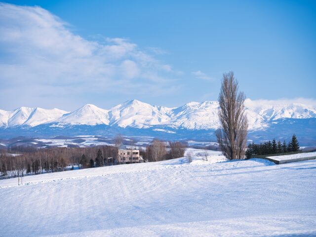 北海道 冬の美瑛町の景色