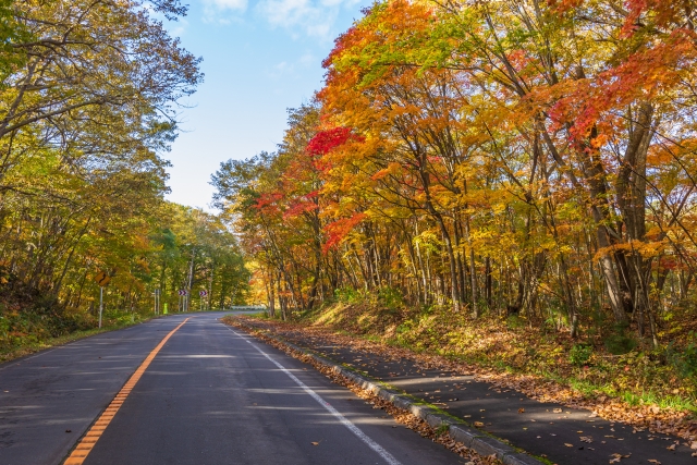 北海道 秋 ドライブ