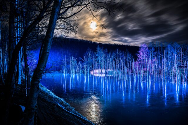 北海道 冬の青い池ライトアップ