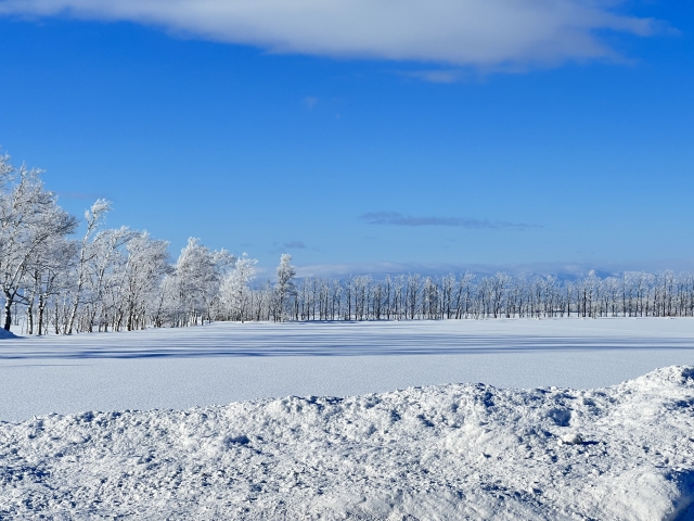 北海道　冬