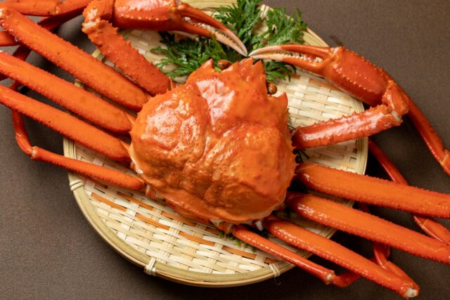 北海道　グルメ　ズワイガニ