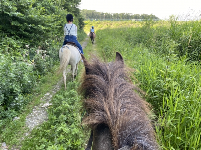 北海道 乗馬 体験