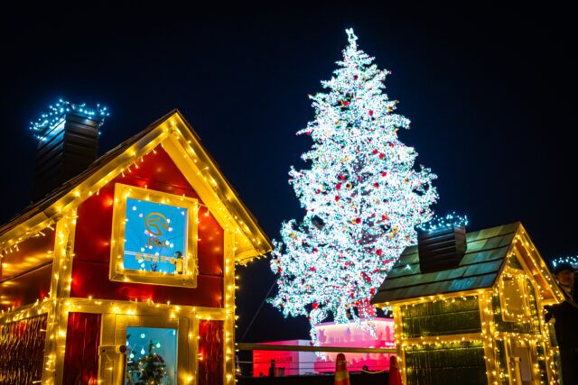 北海道 函館 クリスマスのイルミネーション