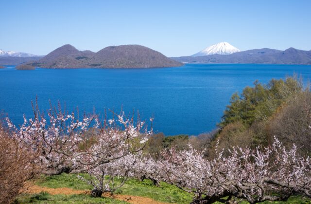 洞爺湖　春