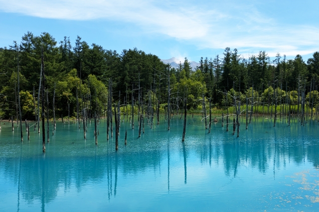 青い池