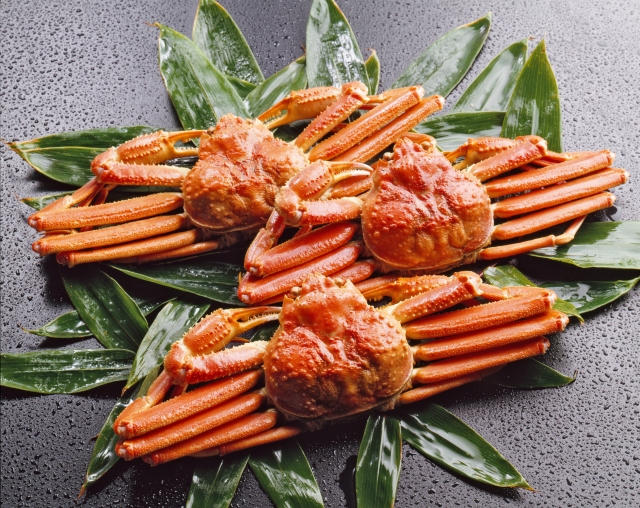 かに、ズワイガニ、グルメ