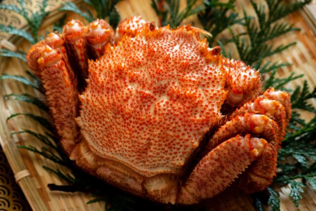 北海道　グルメ　毛ガニ