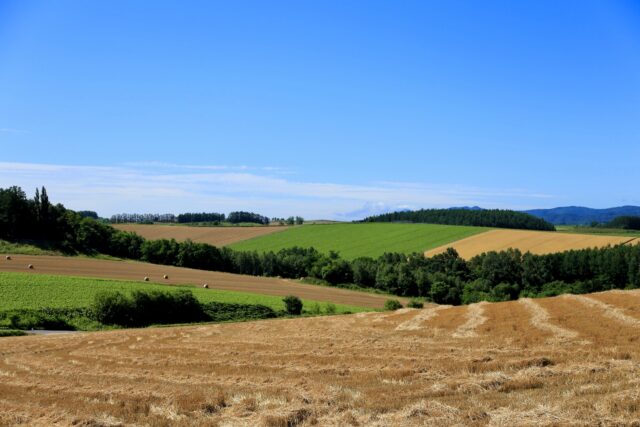パッチワークの路 美瑛