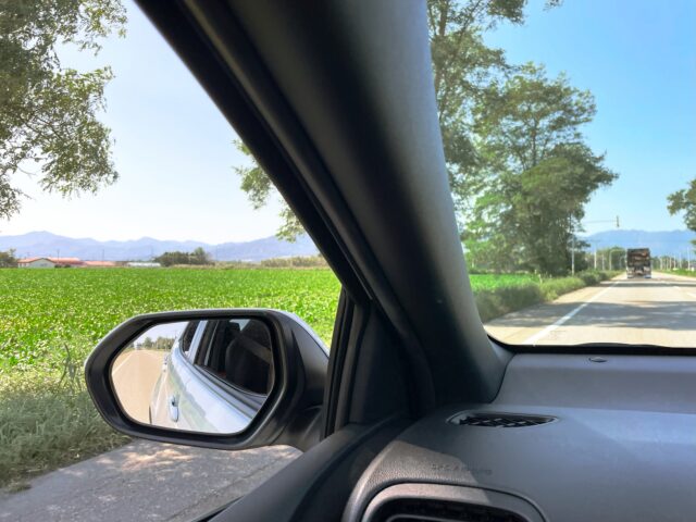 富良野　ドライブ