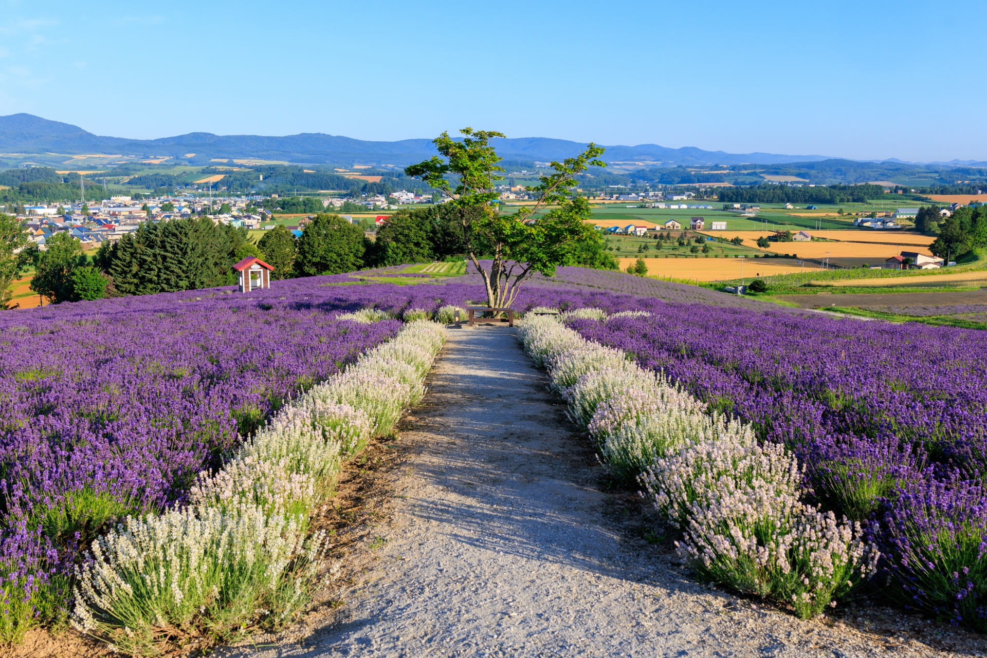 富良野　日の出公園