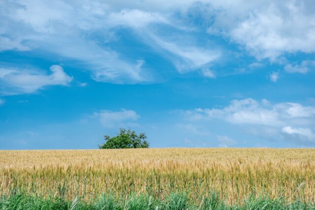 富良野 景色