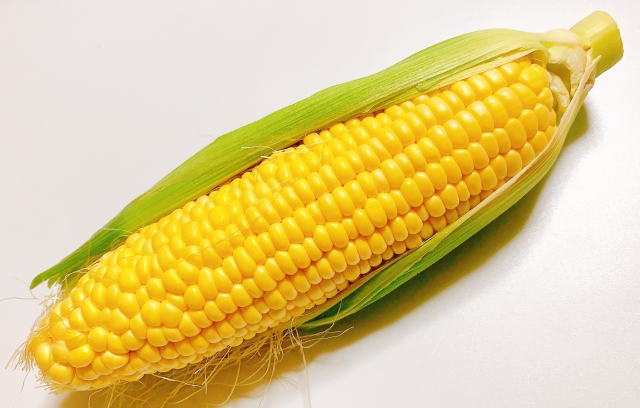 トウモロコシ　旬