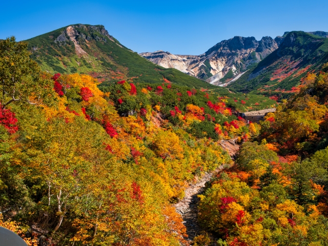 十勝岳　紅葉
