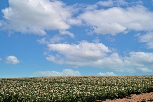 秋　北海道旅行