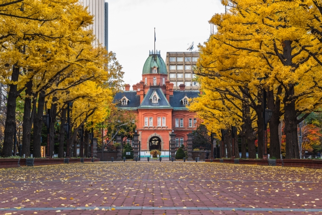 北海道　旅行　秋