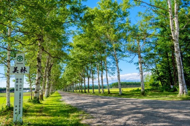 北海道　初夏