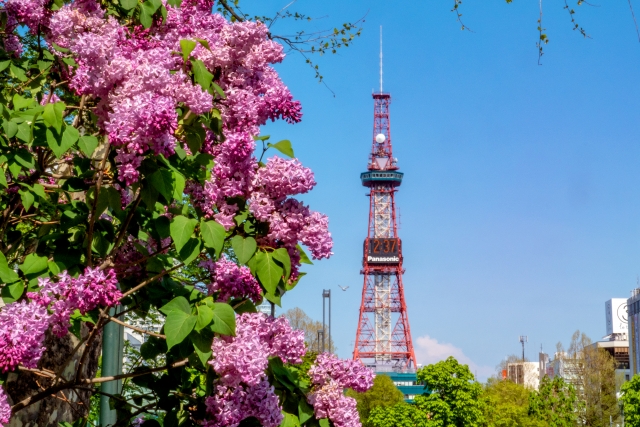 札幌　初夏