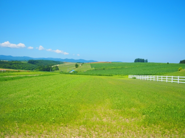 北海道　夏　旅行