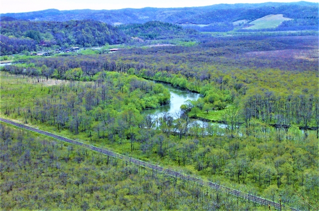 釧路湿原