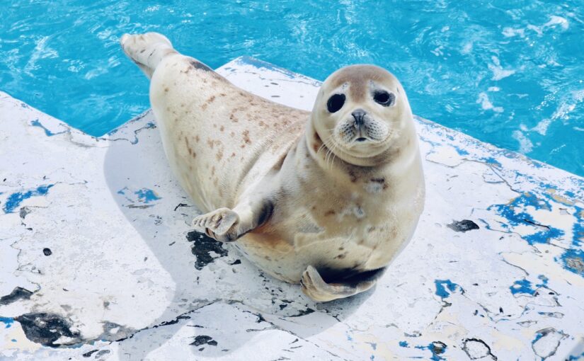 オホーツクとっかりセンター