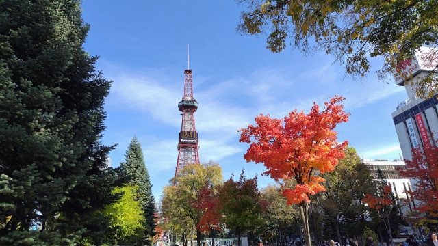 秋　札幌　大通公園