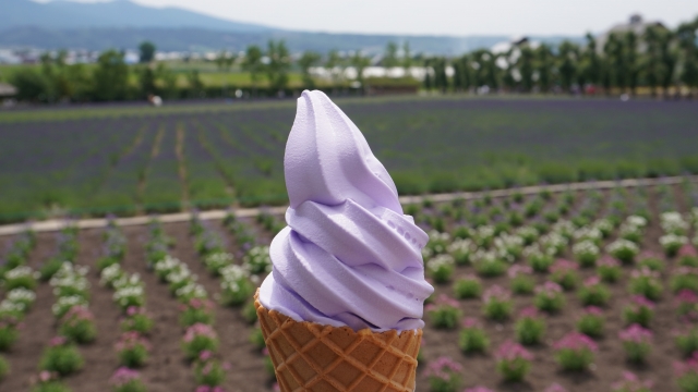 ソフトクリーム　北海道