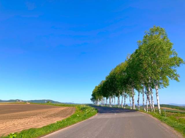 パッチワークの路　春