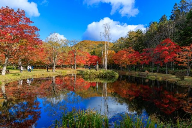 北海道　紅葉