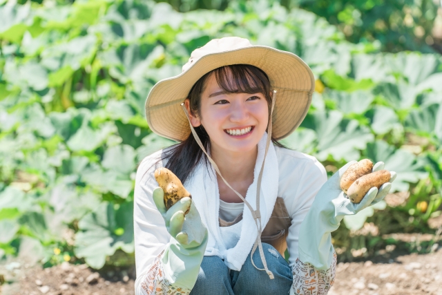 夏　生産者　北海道