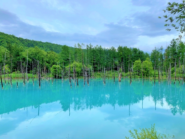 青い池　北海道