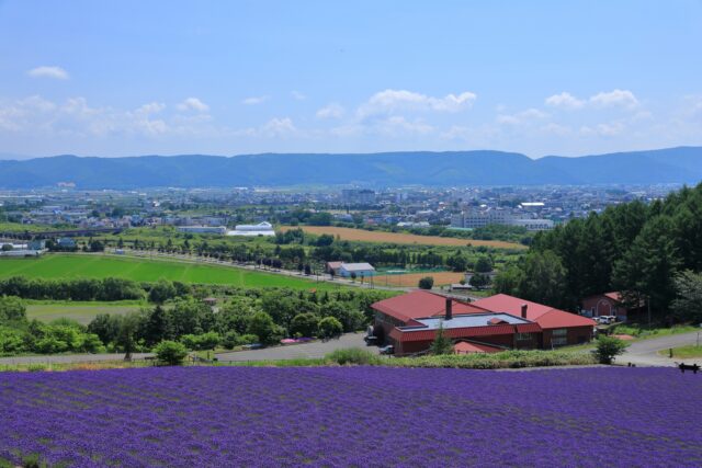 富良野ワイン工場