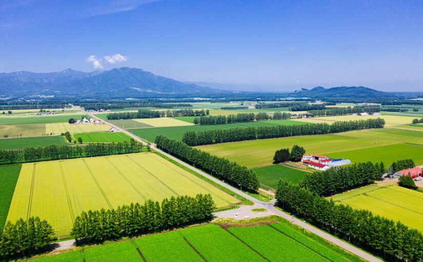 北海道　空撮　十勝