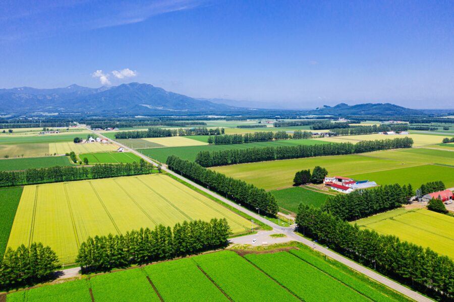 北海道　空撮　十勝
