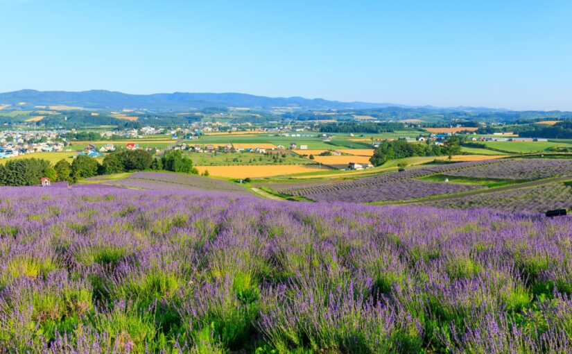北海道　観光
